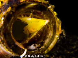Inside a bottle by Budy Lukman 